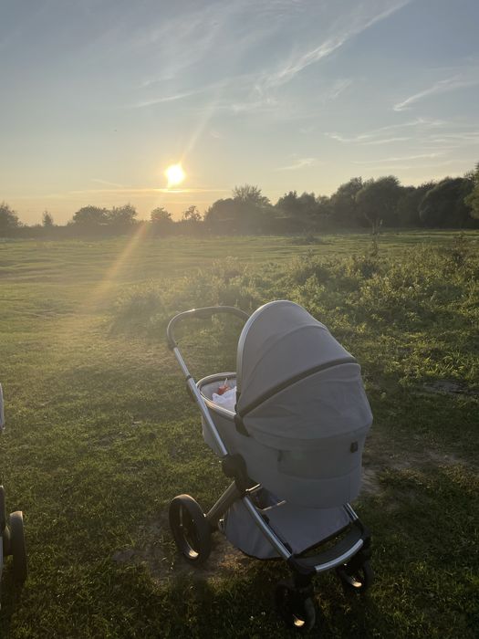 Коляска 2 в 1 Anex l/type