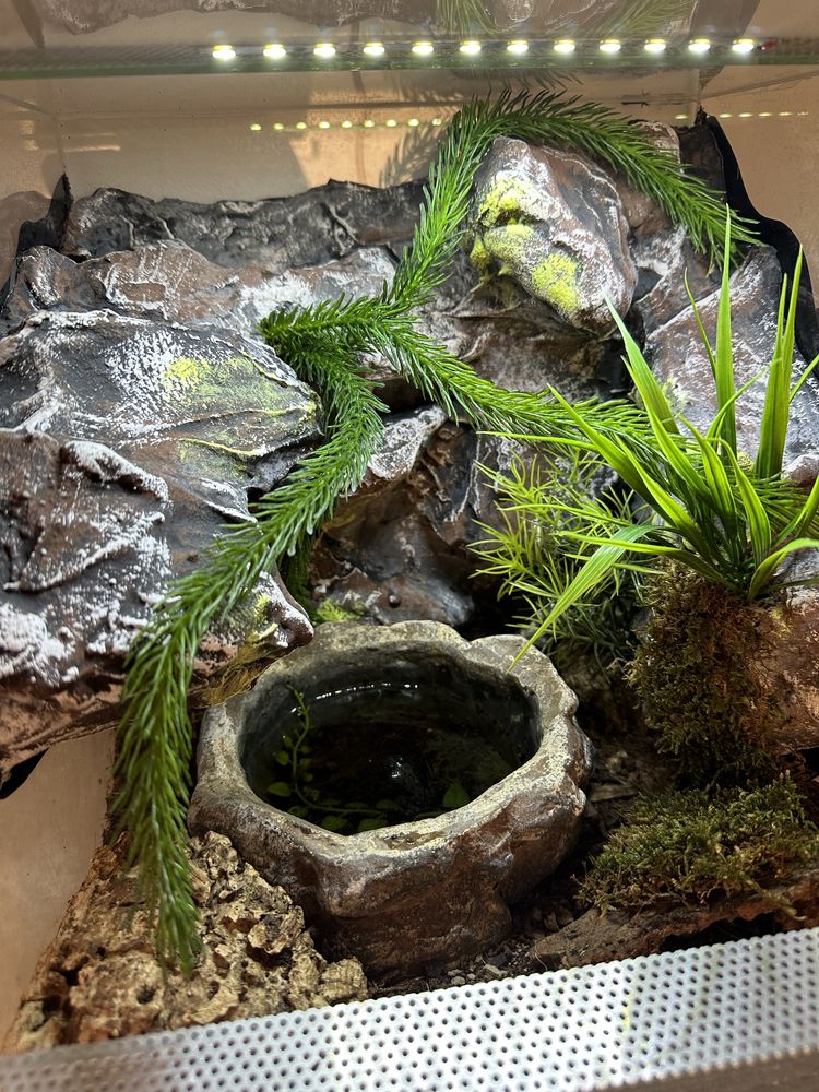 Terrarium przeszklone z oswietleniem
