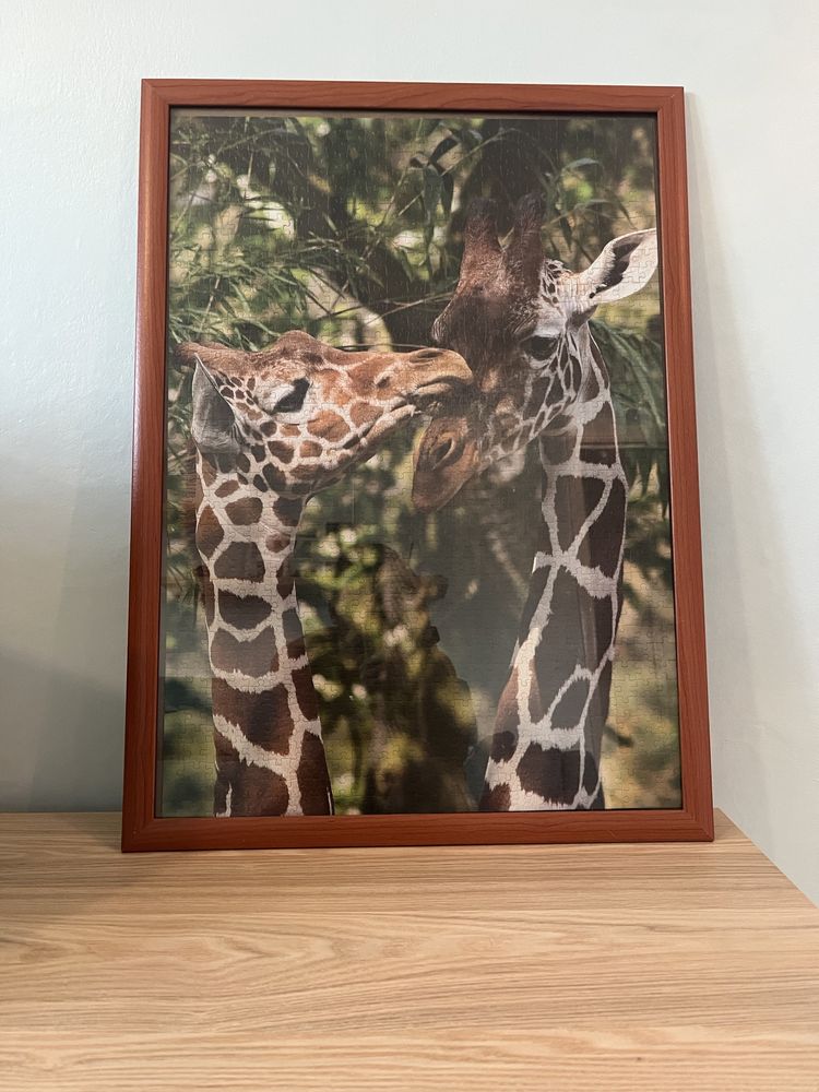 Quadro Girafas Puzzle 1500 peças