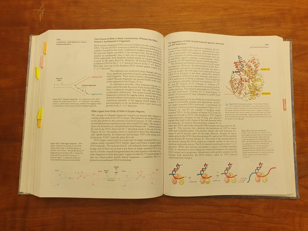 Biochemistry - livro