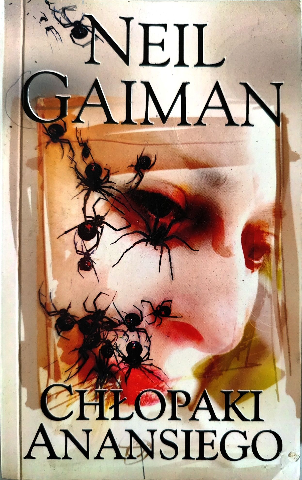 Książka Neil Gaiman - Chłopaki Anansiego