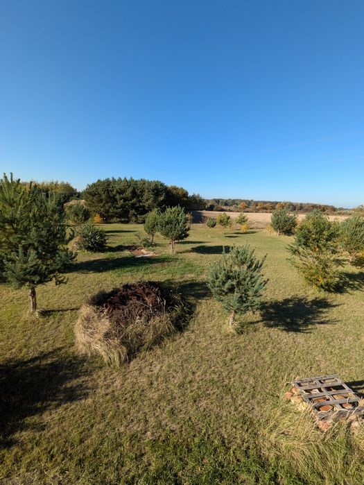 Sprzedam działkę budowlaną Bełdów