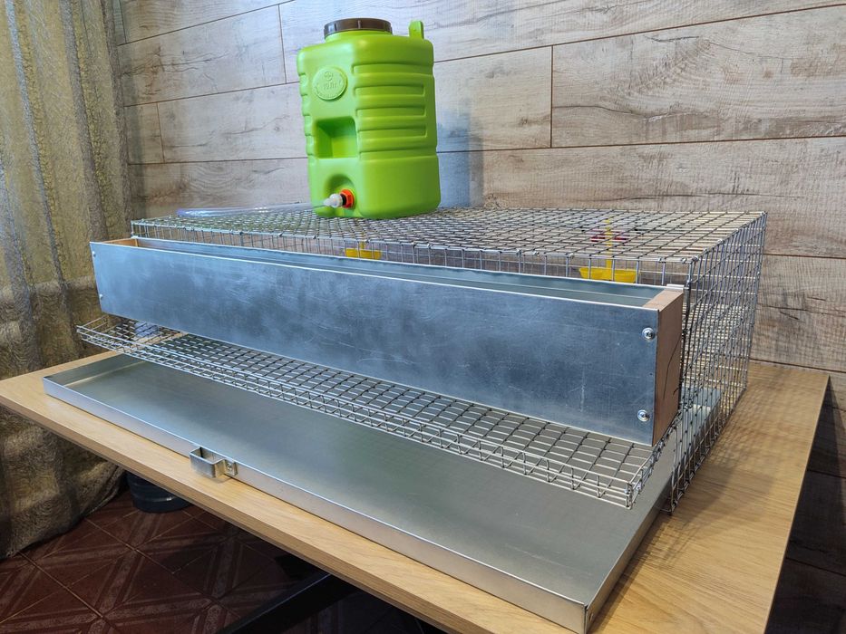 Клітка для перепелів