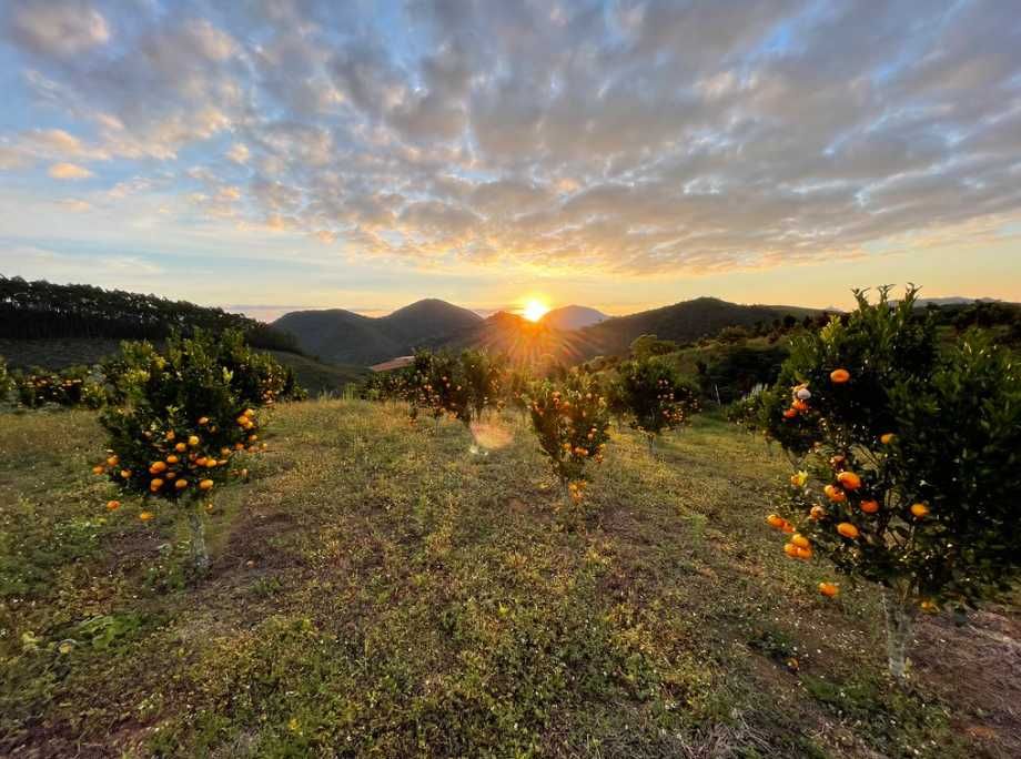 Nikon AF NIKKOR 28-105mm F/3.5-4.5 D Macro Zoom Lens From JAPAN