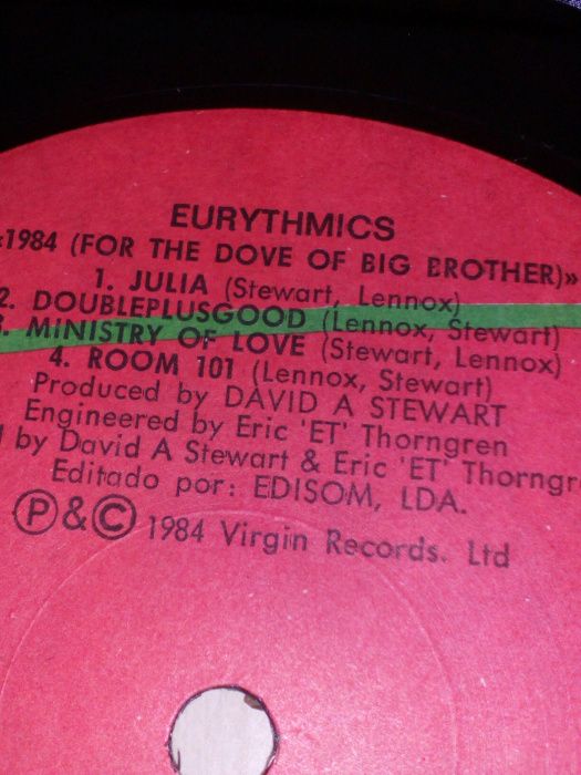 Eurythmics: 1984, for the love of big brother.