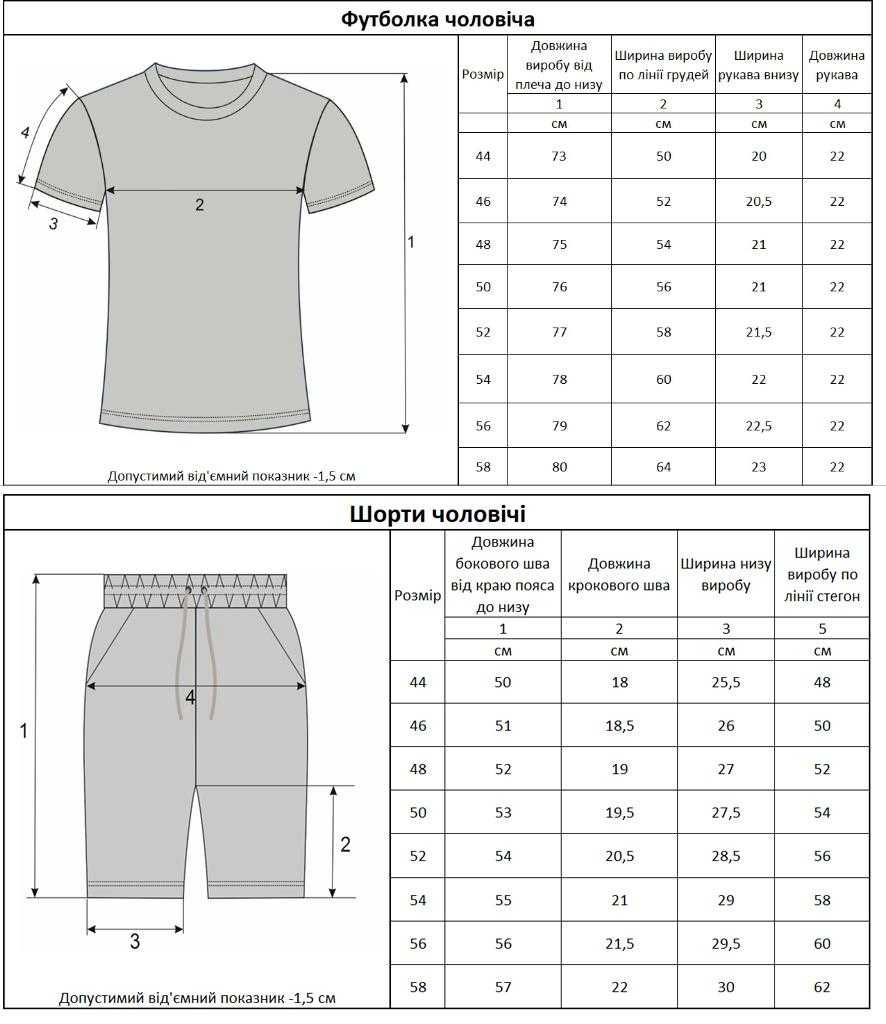 Чоловічий Спортивний Костюм футболка + шорти Мужской комплек TNF