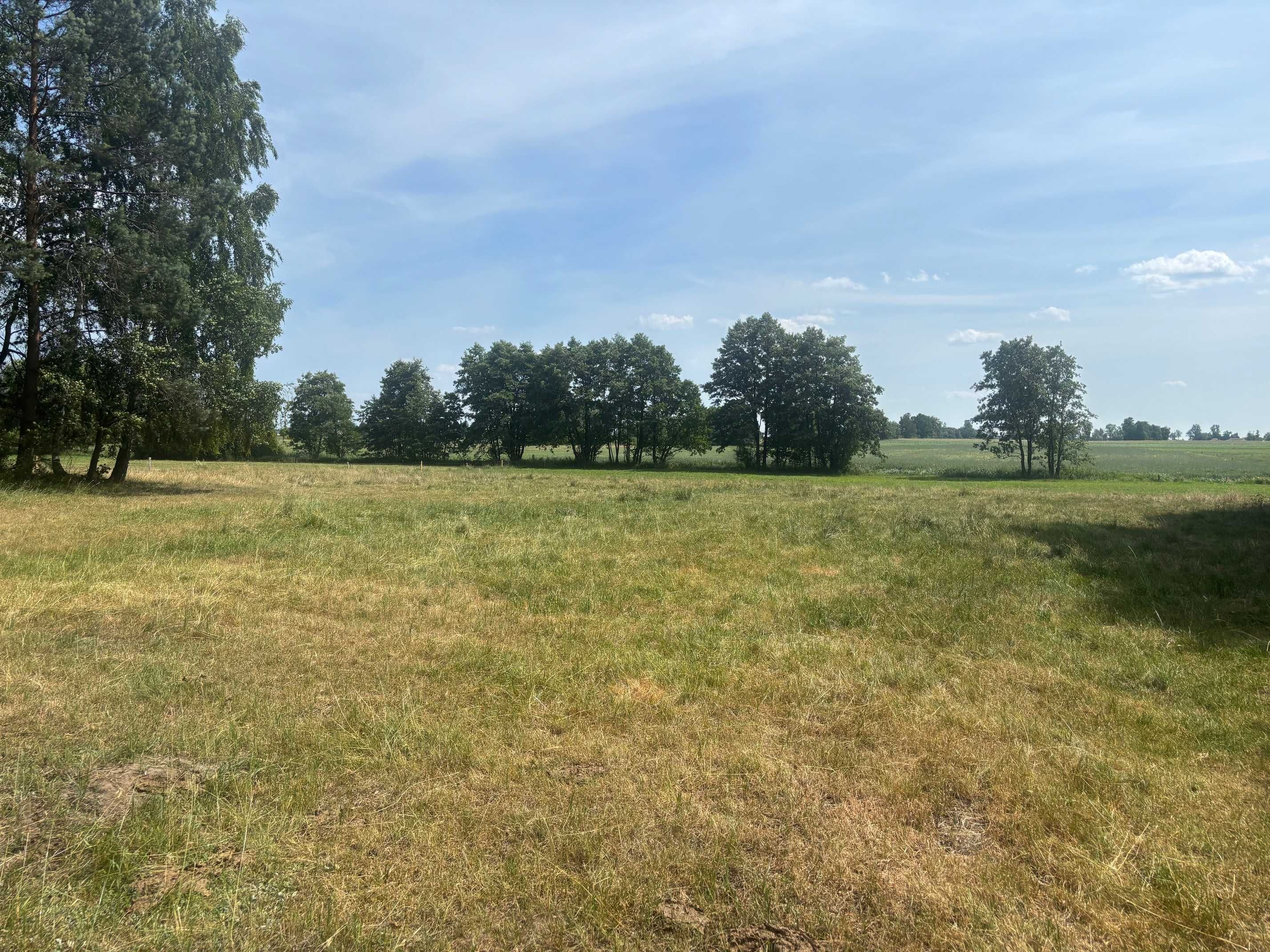 Działka Biernacice niedaleko- Uniejów / las/ warunki zabudowy