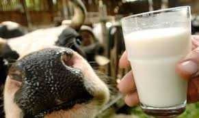 Молоко Творог,та інші100% домашні.продукти- .сільськогосподарські