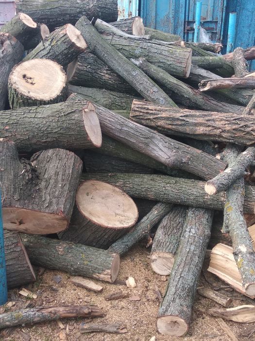 Дрова Дуб Акация