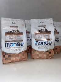 Sucha karma Monge łosoś dla psów aktywnych 2,5 kg
