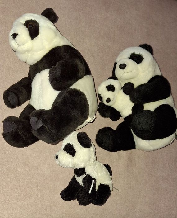 Сімейство   панд