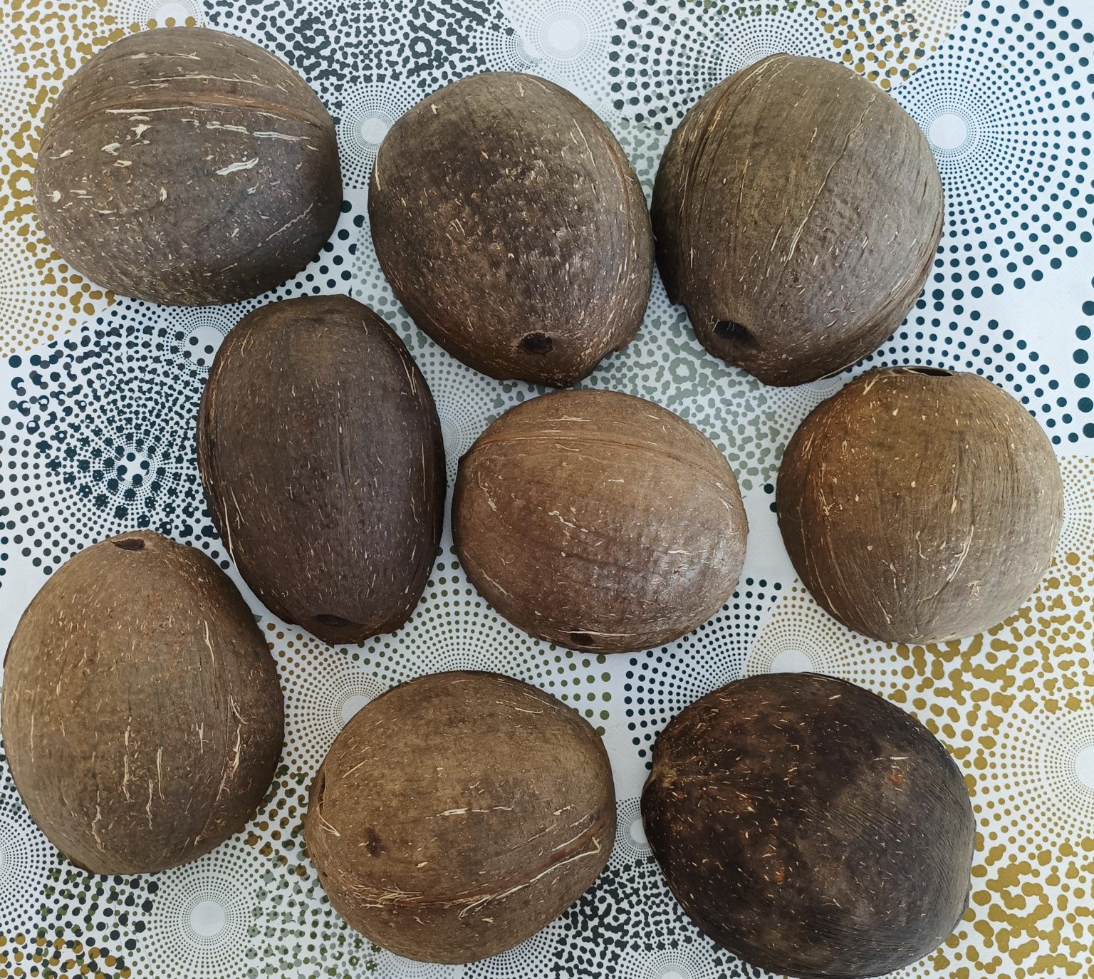 Cascas de côco metades