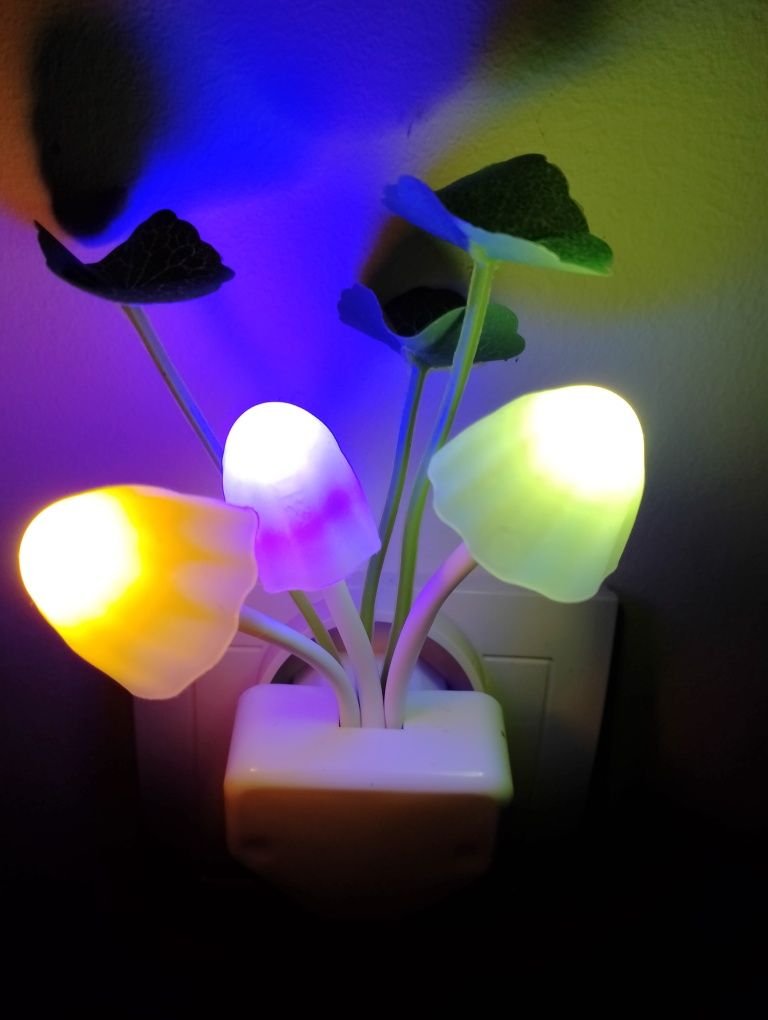 Lampka Led do kontaktu.