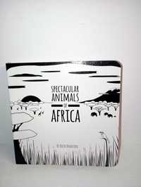 Spectacular animals of Africa (Inglês)
