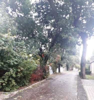 Земельный участок под строительство жилого дома в Клубничном переулке