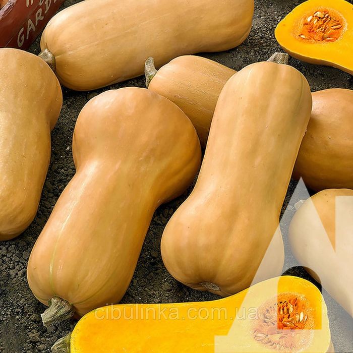 Гарбуза на кашу продам 200грн за причіп