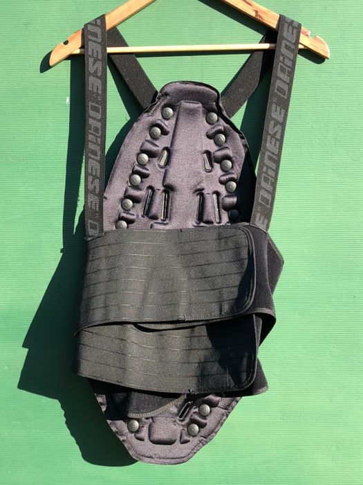 Защита спины черепаха моточерепаха мотозащита Dainese лыжи