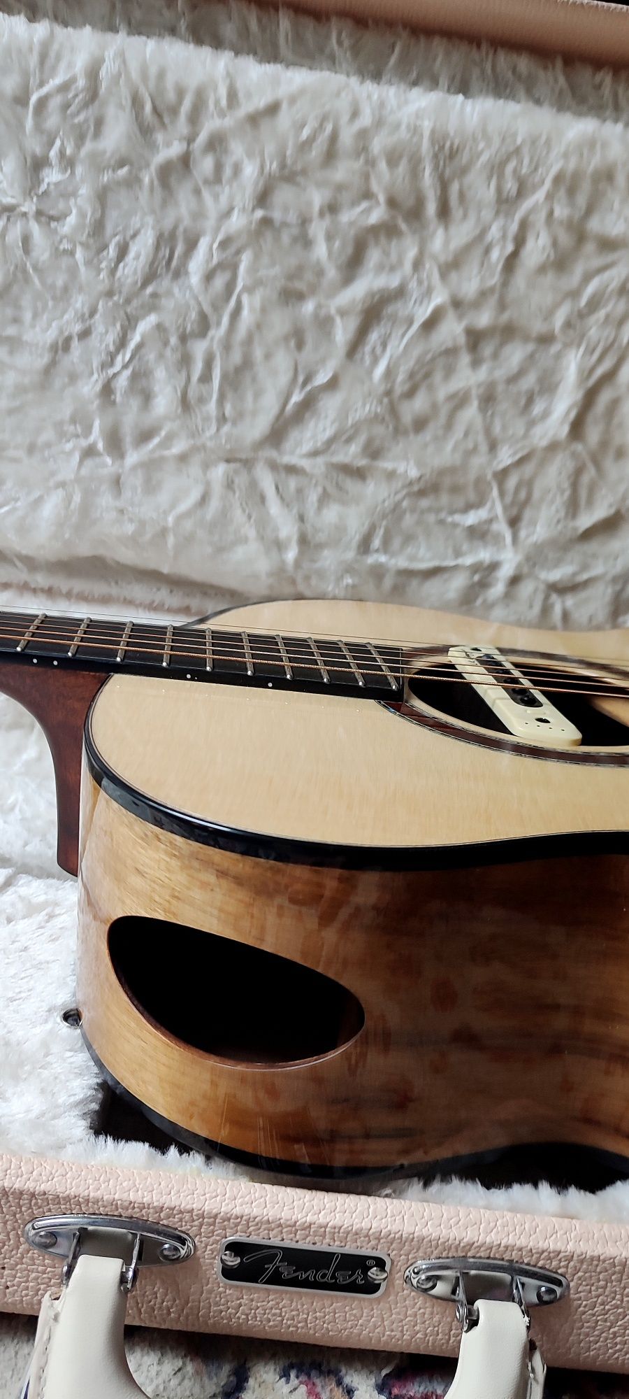 Cort Cut Craft Limited Edition NEW jak Gibson Guild Martin Yamaha