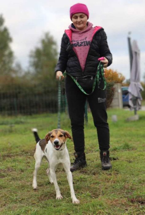 wesoła, młodziutka, nieduża sunia do adopcji