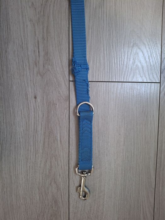 Zestaw dla większego psa: szelki Trixie rozmL, smycz Trixie, obroża, n