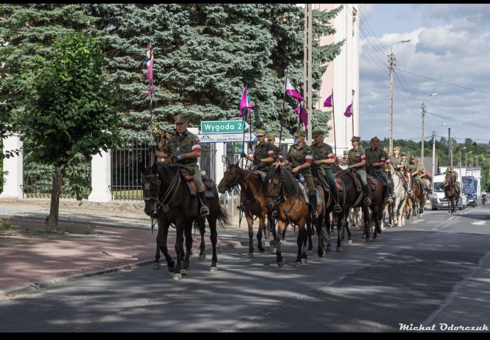 Dorita - piekna klacz w typie slazkim na sprzedaż