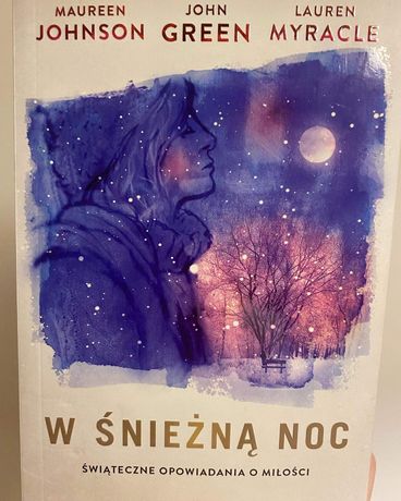Książka W śnieżną noc