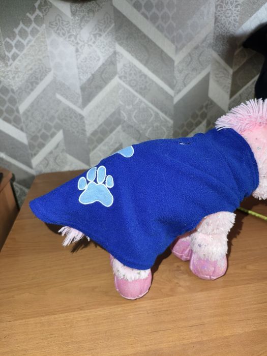 Жилет, пальто, намордник, шлея, попона, амуніція, одяг