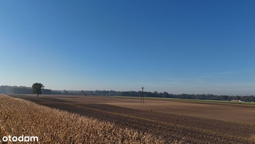 Sprzedaż działki  – cicha okolica 16 km od Kalisza