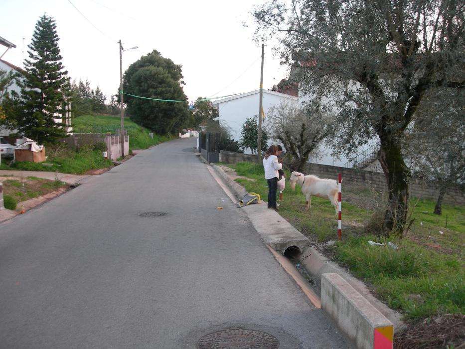 Vendo terreno urbano junto à Solum, Coimbra, para construção.