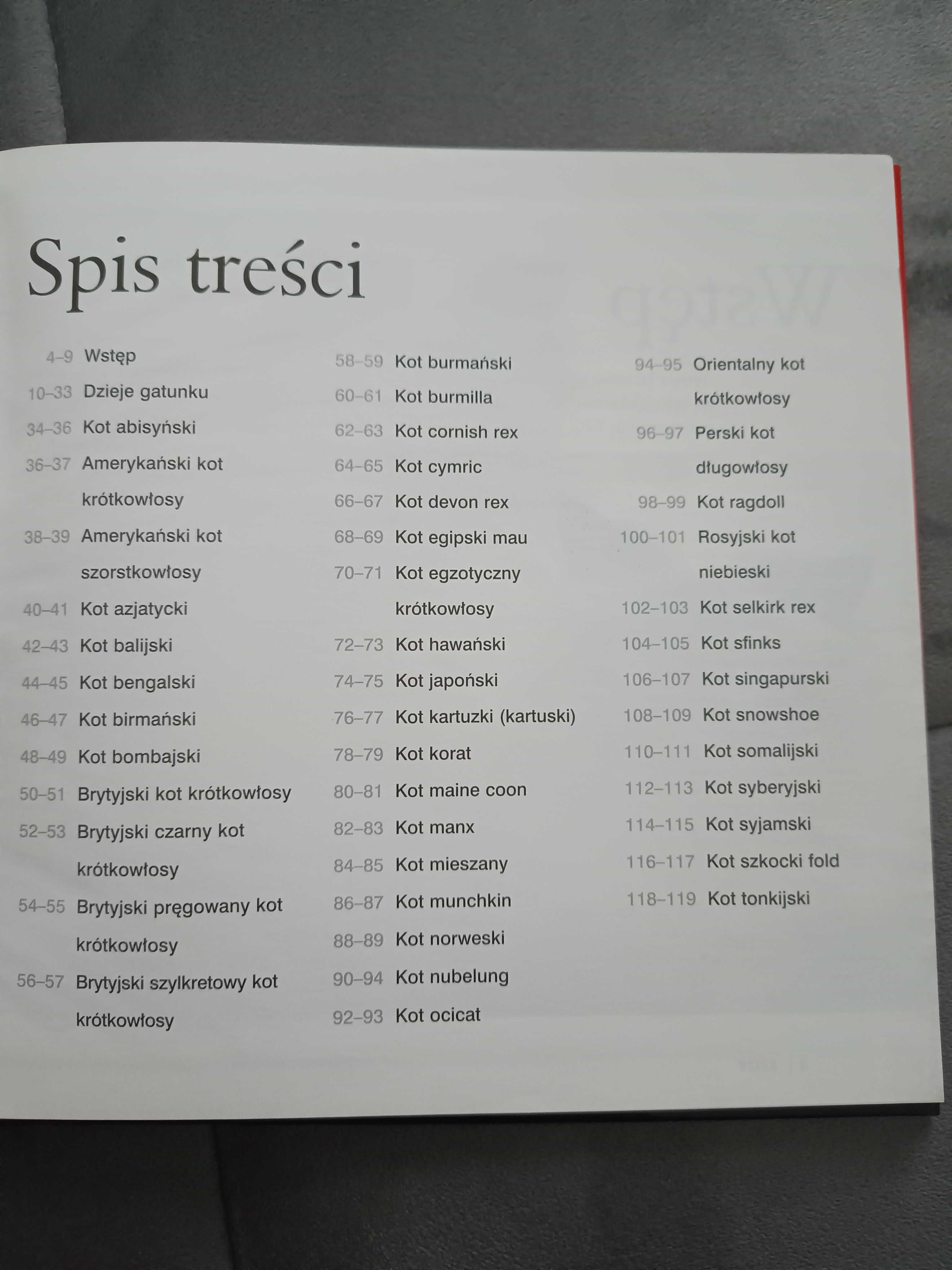 Koty. Poradnik Faktu.