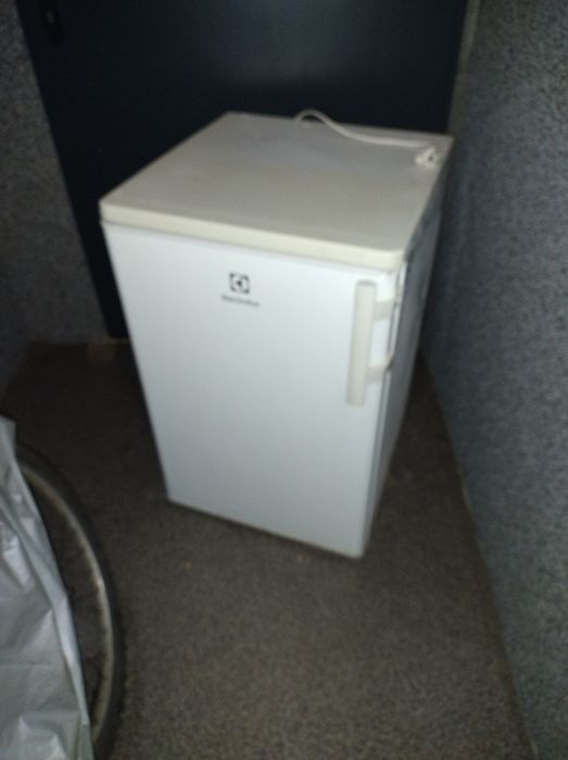 mała lodówka elekrolux