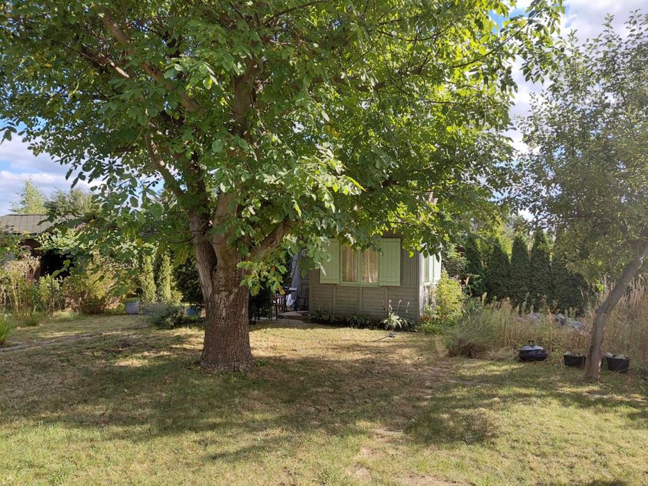 Działka ROD Paluch 300m