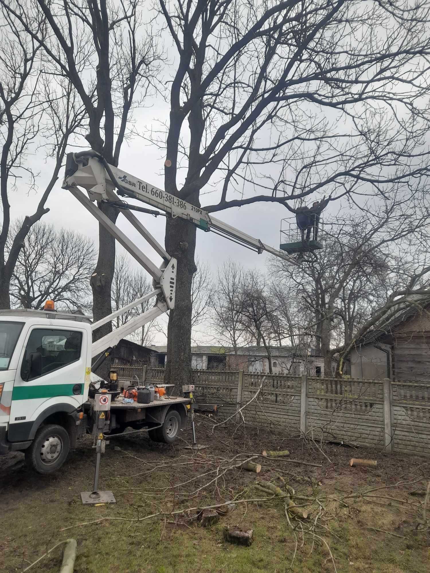 Wycinka drzew, Pielęgnacja ogrodów, Porządkowanie działek