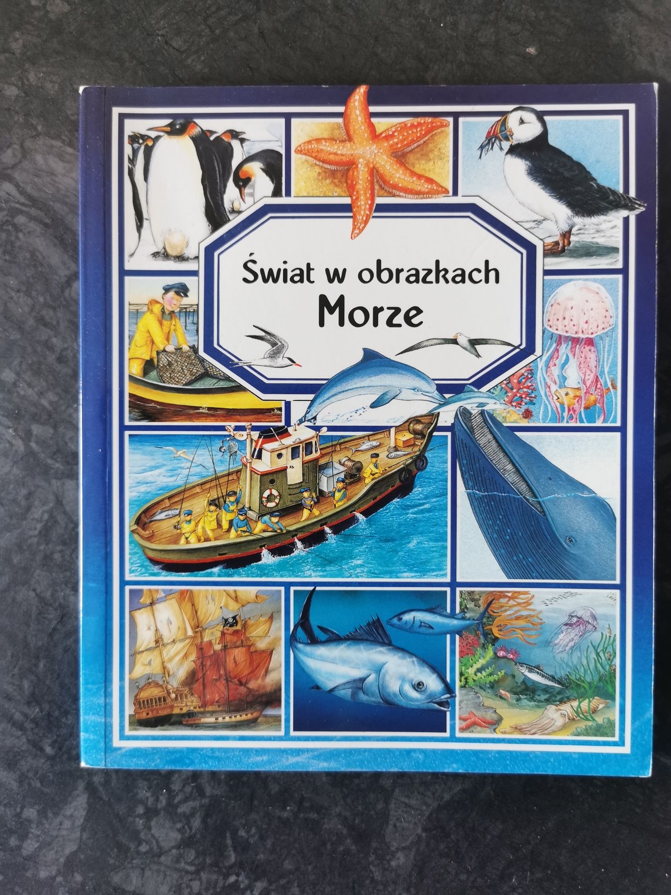 Książka świat w obrazkach morze