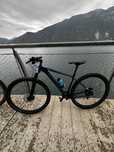 Kross level 7.0 LADY 29” M