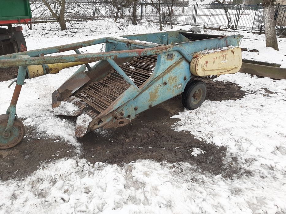 Jałoszka Cielak za kopaczkę