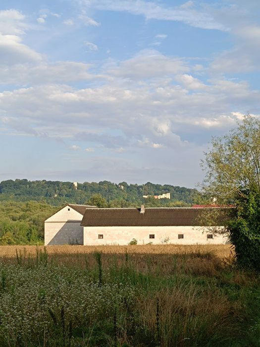 Działka budowlano-rolna z widokiem na Kazimierz 1 ha