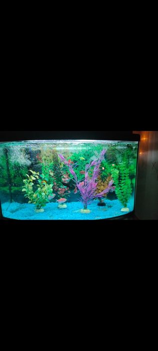 Продам аквариум 60л б у