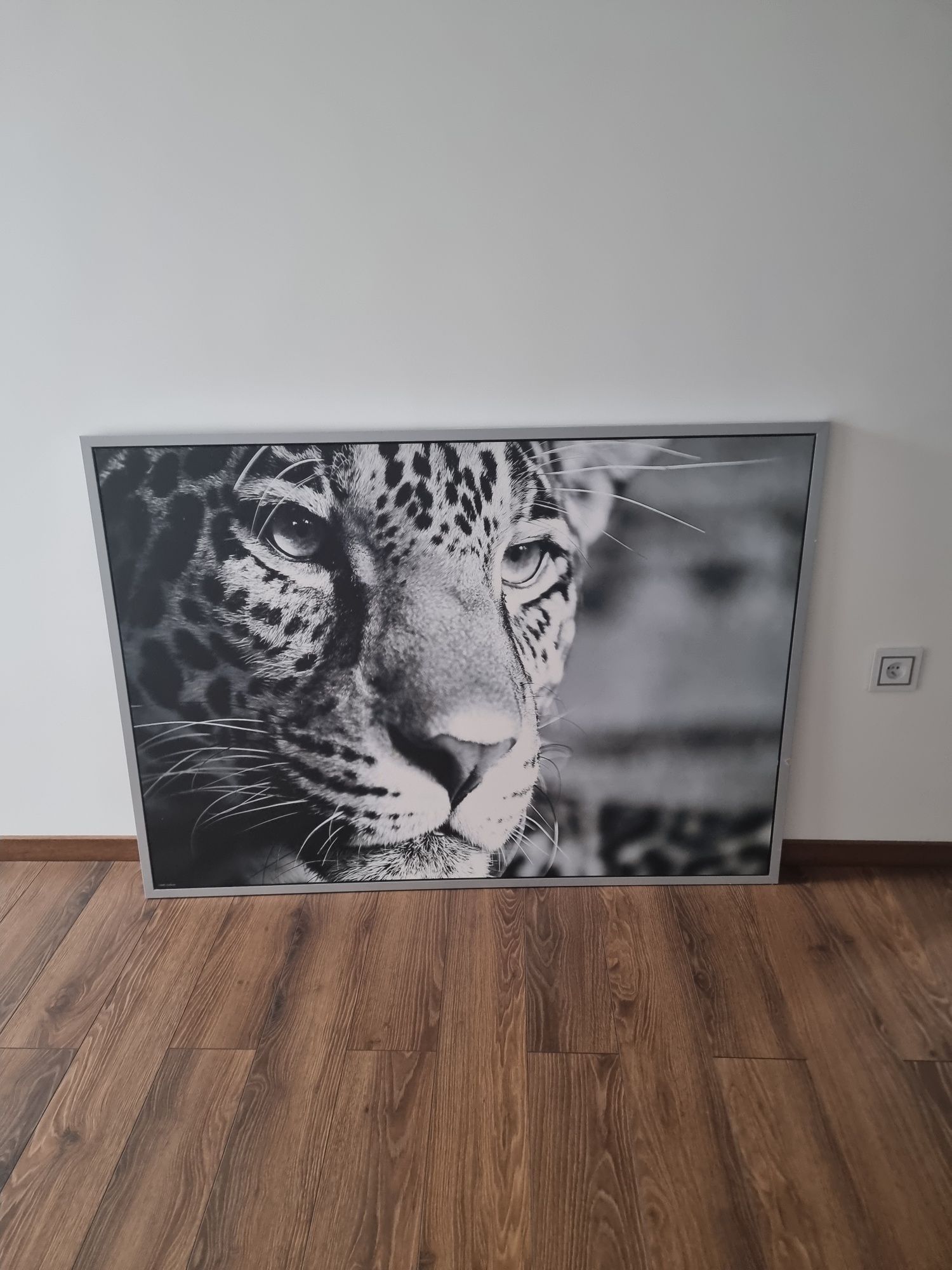 Obraz, rama czarno biala gepard Ikea 140x100