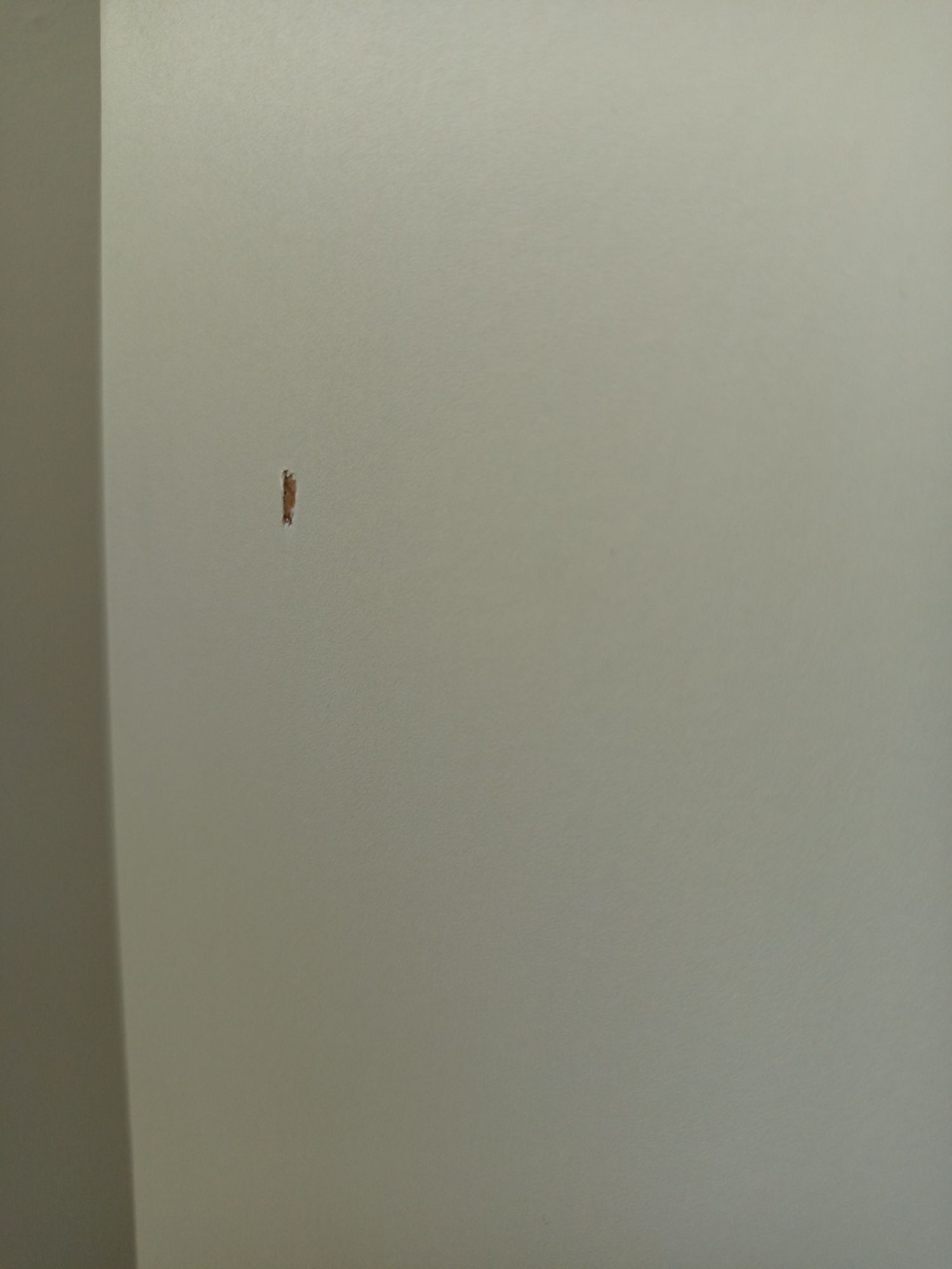drzwi do szafy pax, IKEA forsand