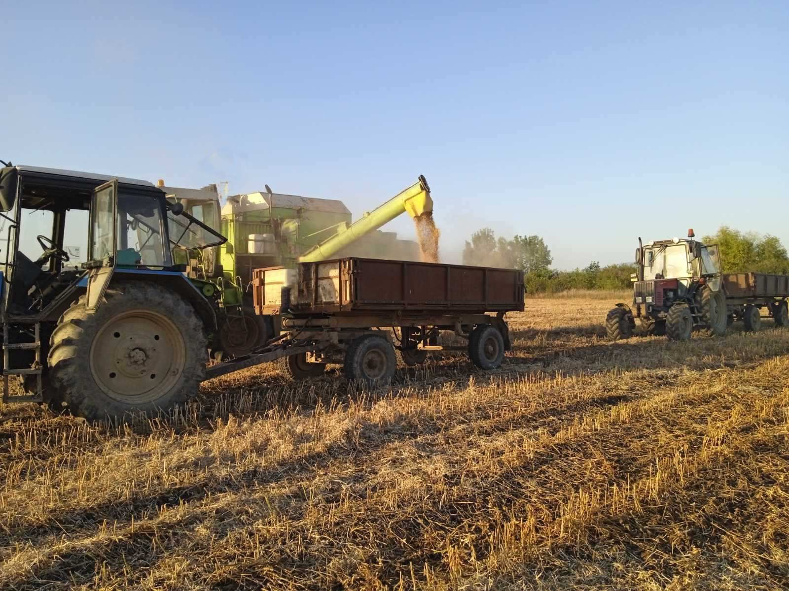 Продається Class Dominator 105