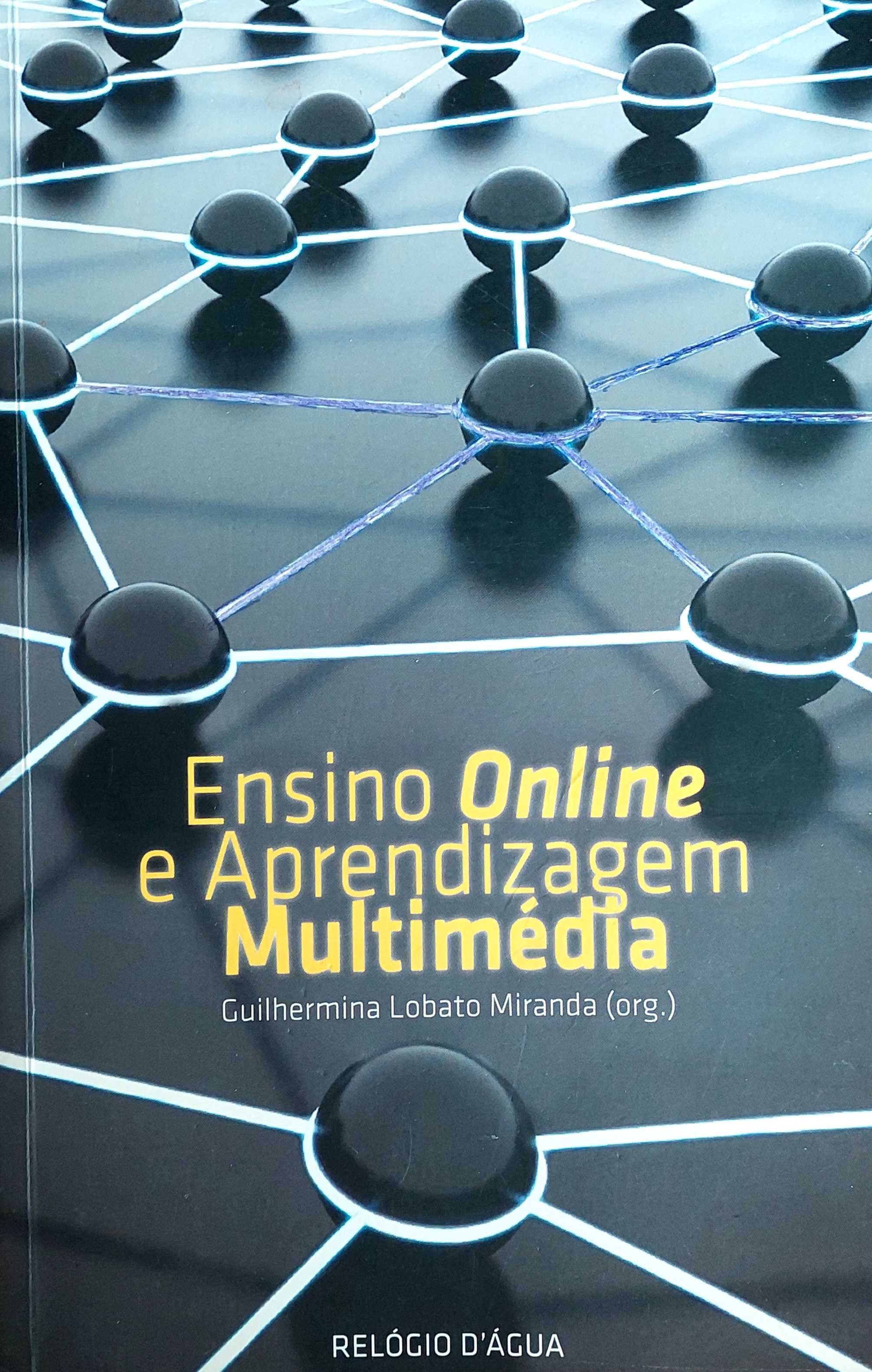 Ensino Online e Aprendizagem Multimédia de Guilhermina Miranda