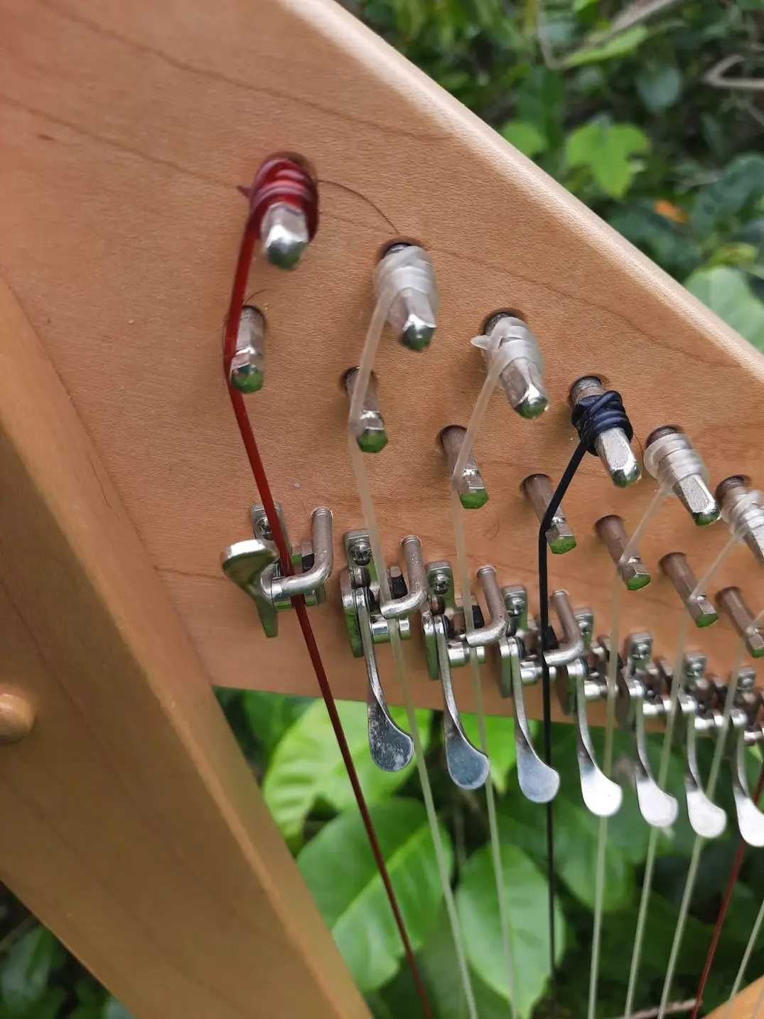 Harpa céltica /  Celtic Harp