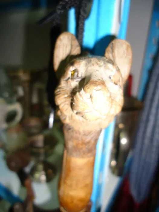 Sombrinha Antiga