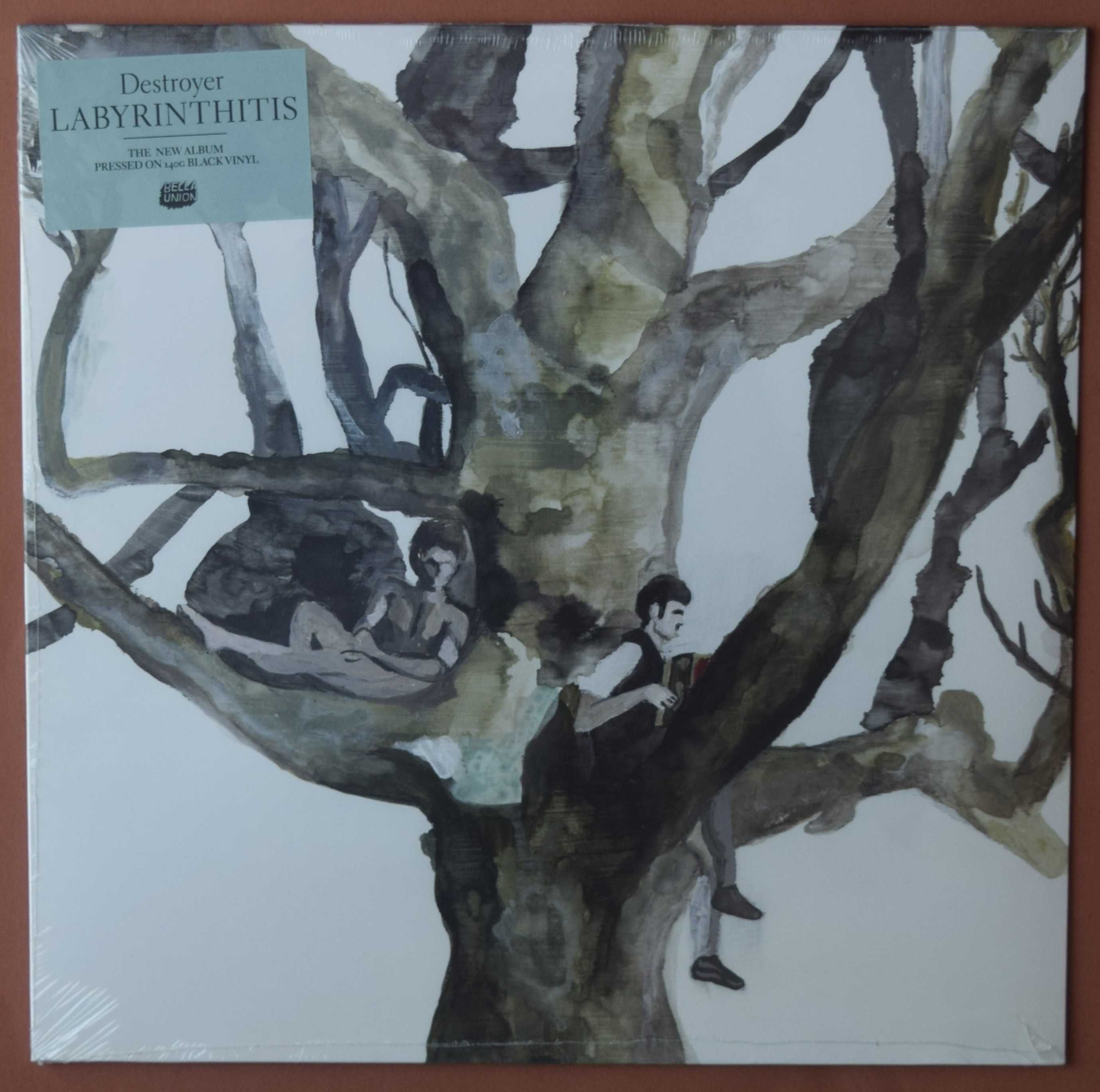 Discos de vinil novos - Big Star, Fontaines DC, Bjork, etc.