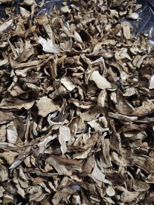 Сушені гриби     .