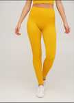 Легінси Giulia в рубчик з моделюючим швом ззаду LEGGINGS RIB honey (жо