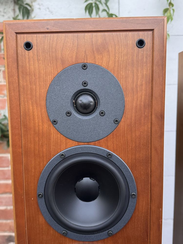 Dynaudio Contour 3.0 kolumny podlogowe