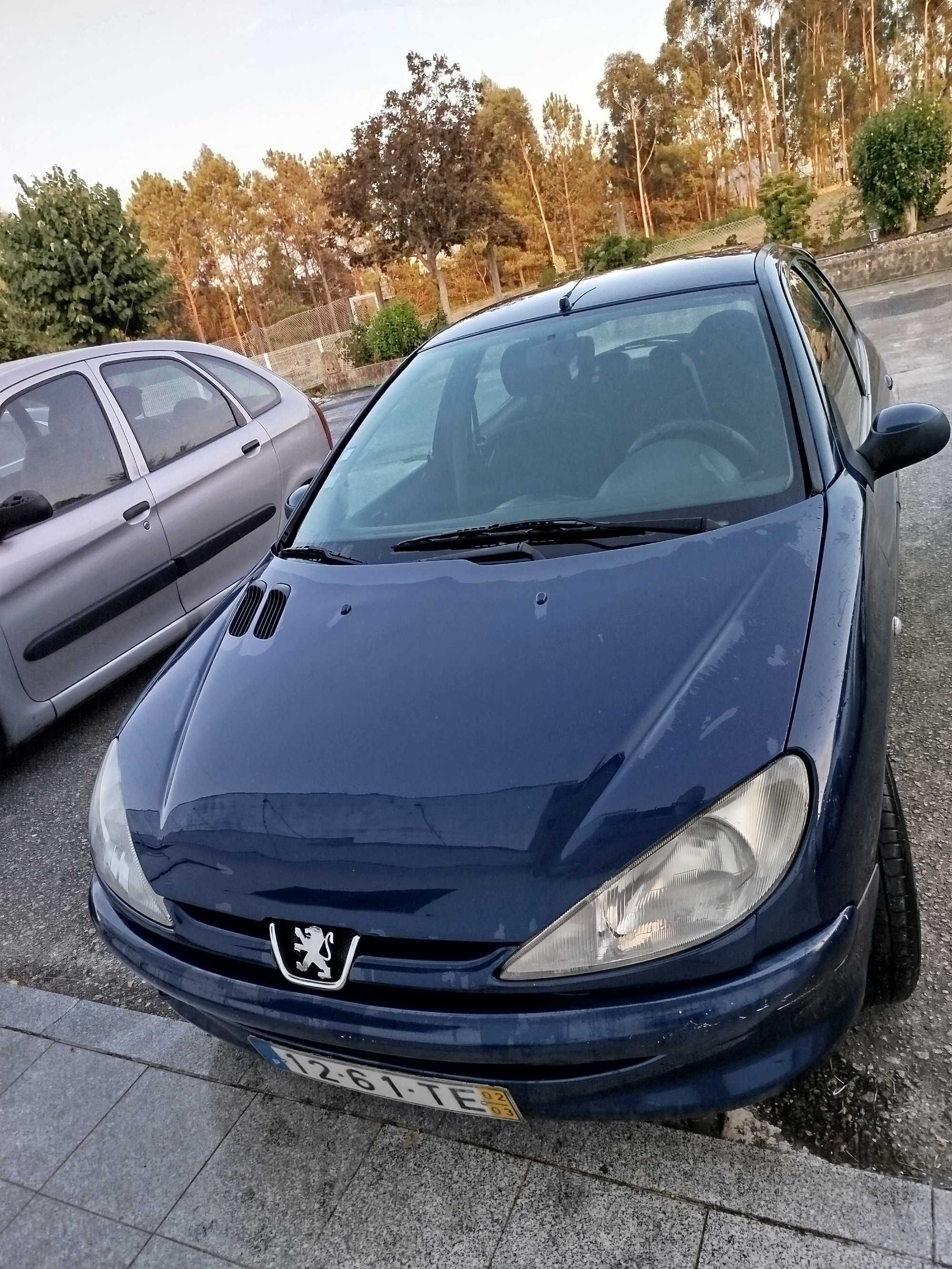 Peugeot 206 gasolina ano 2003