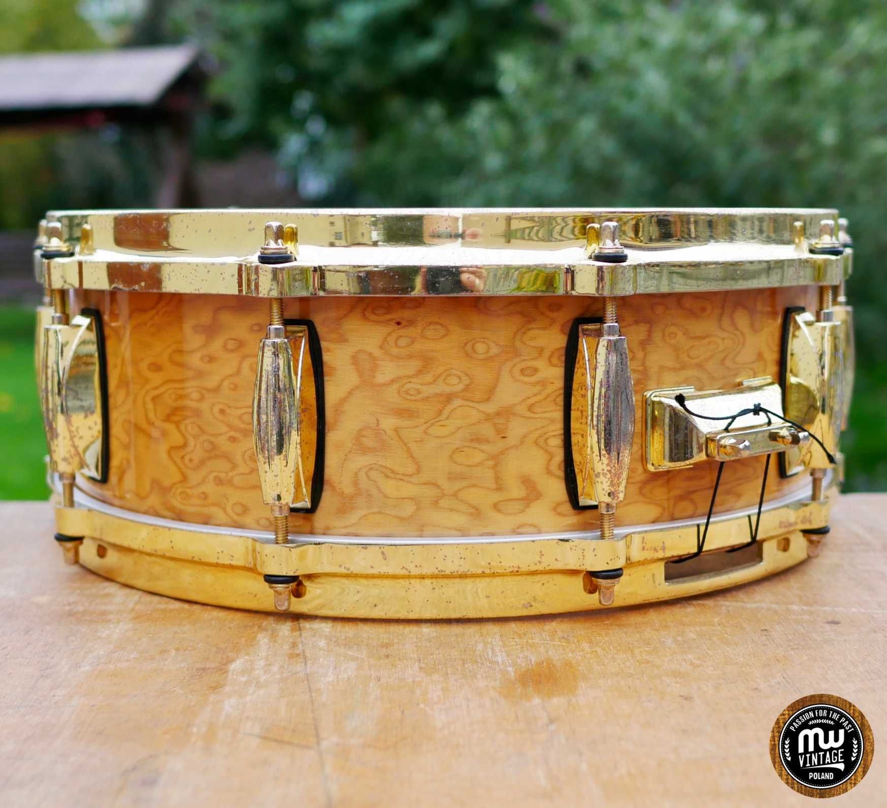 Werbel Gretsch Maple Exotic 14" x 5" Red Camphor ‼️